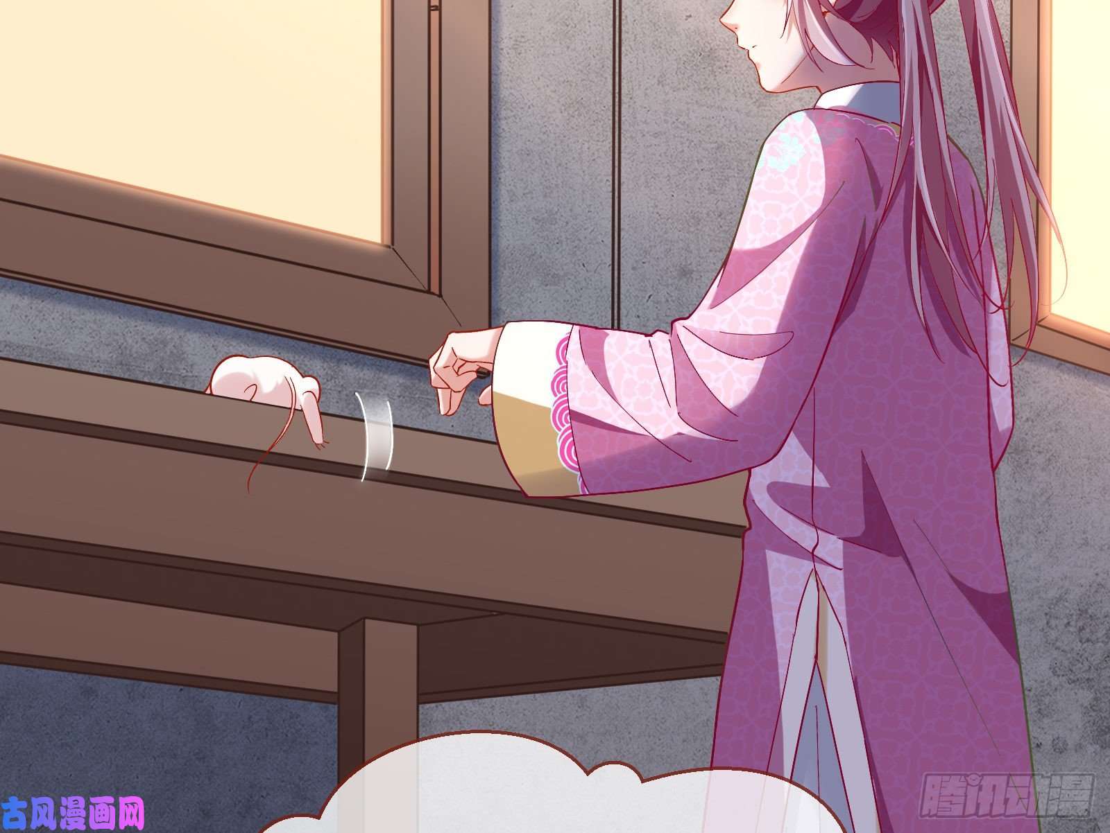 万渣朝凰生日宴会