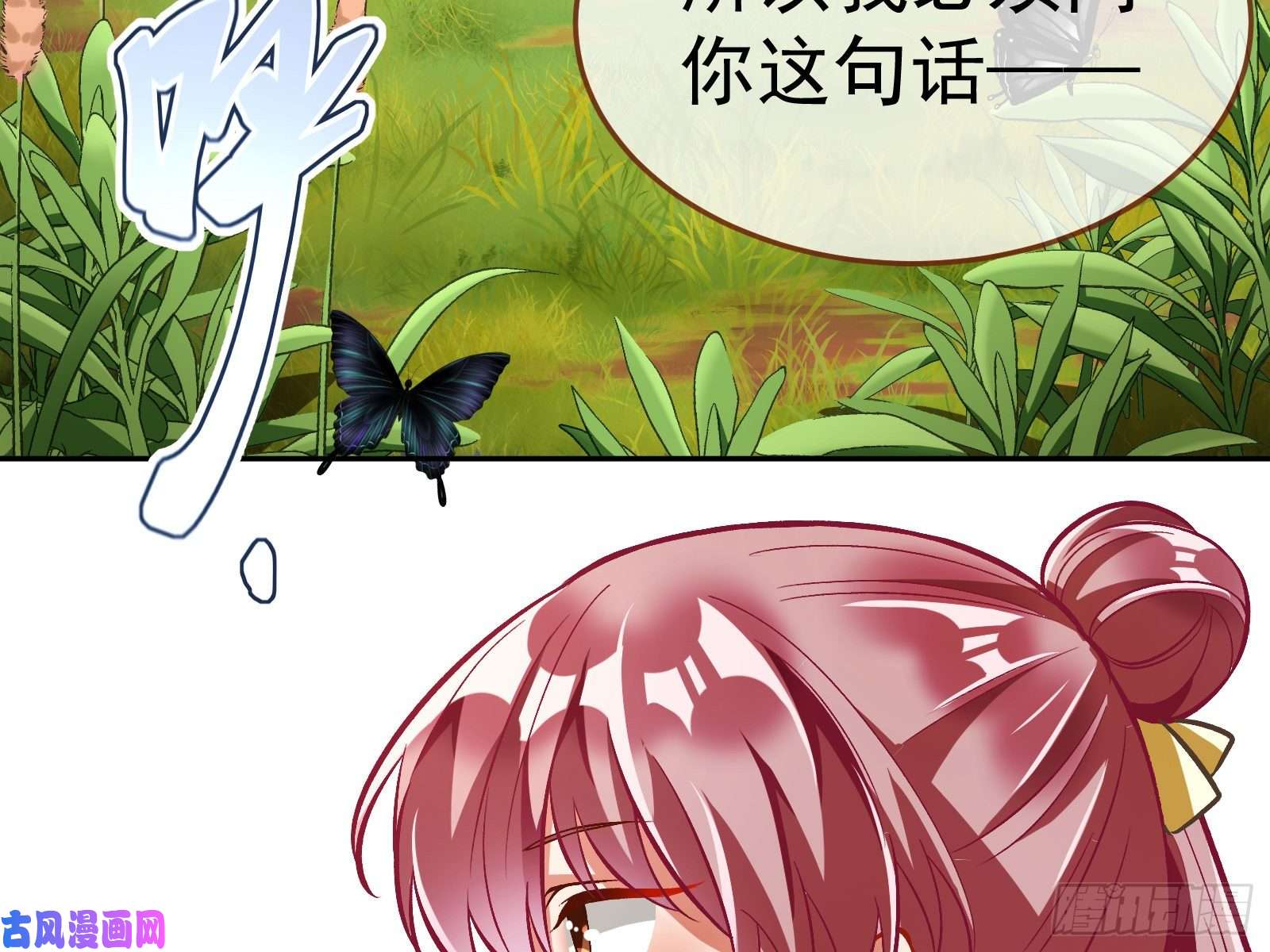 万渣朝凰生日宴会