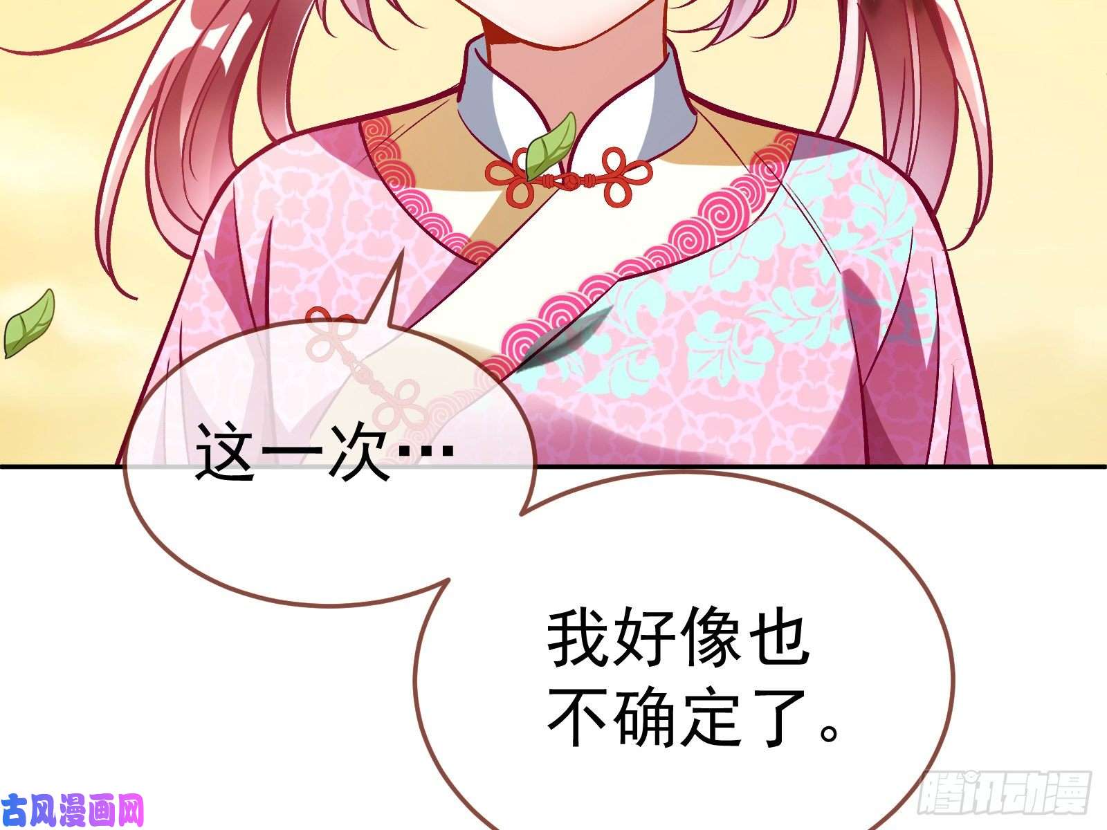 万渣朝凰生日宴会
