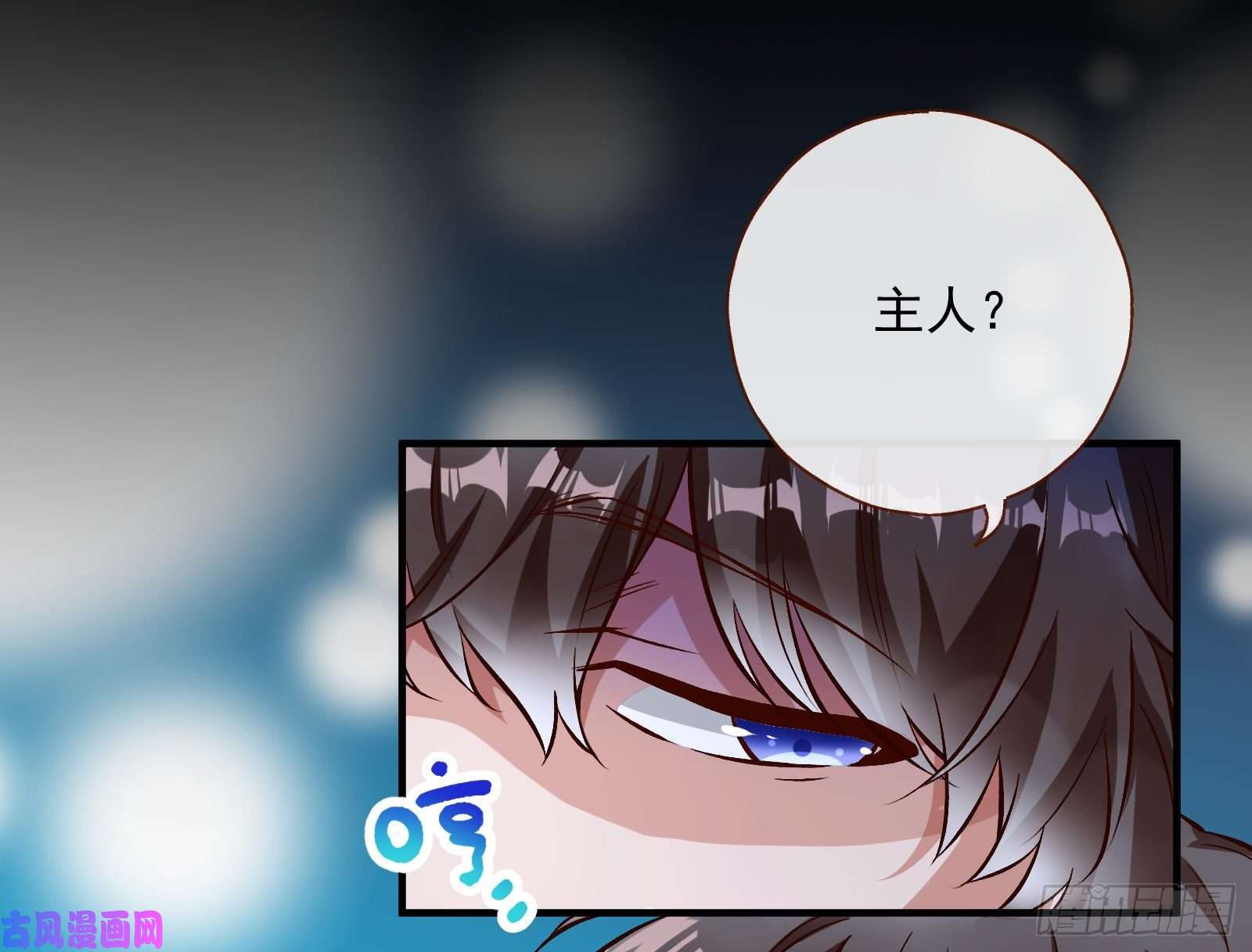 万渣朝凰笼中鸟