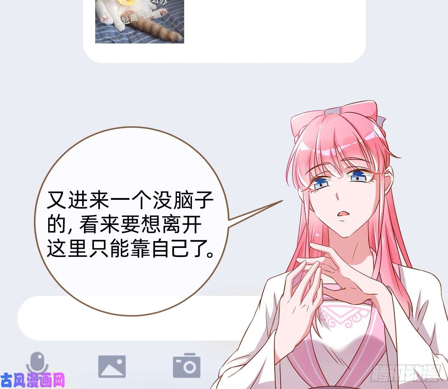 万渣朝凰唤醒闻郑
