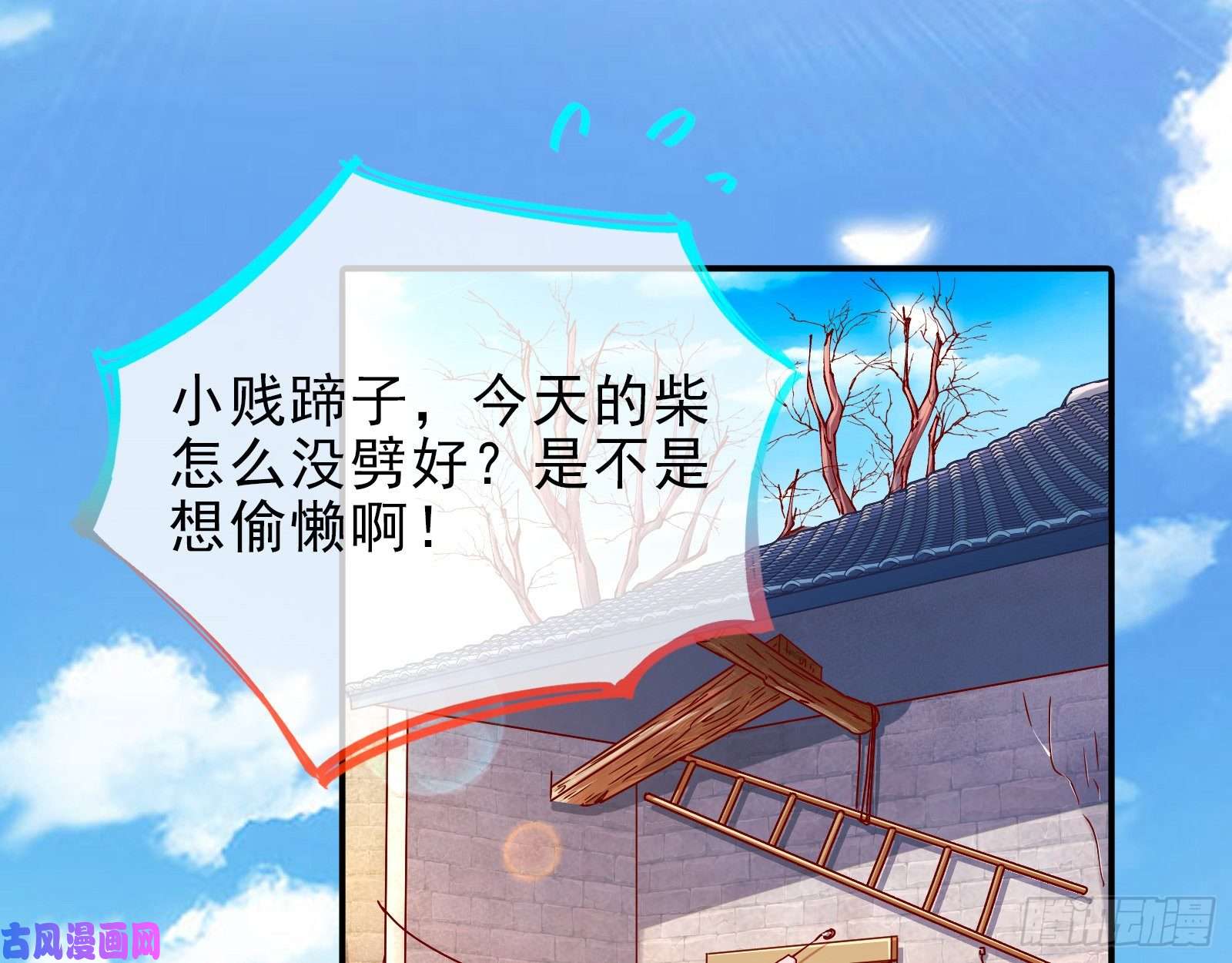 万渣朝凰抱错