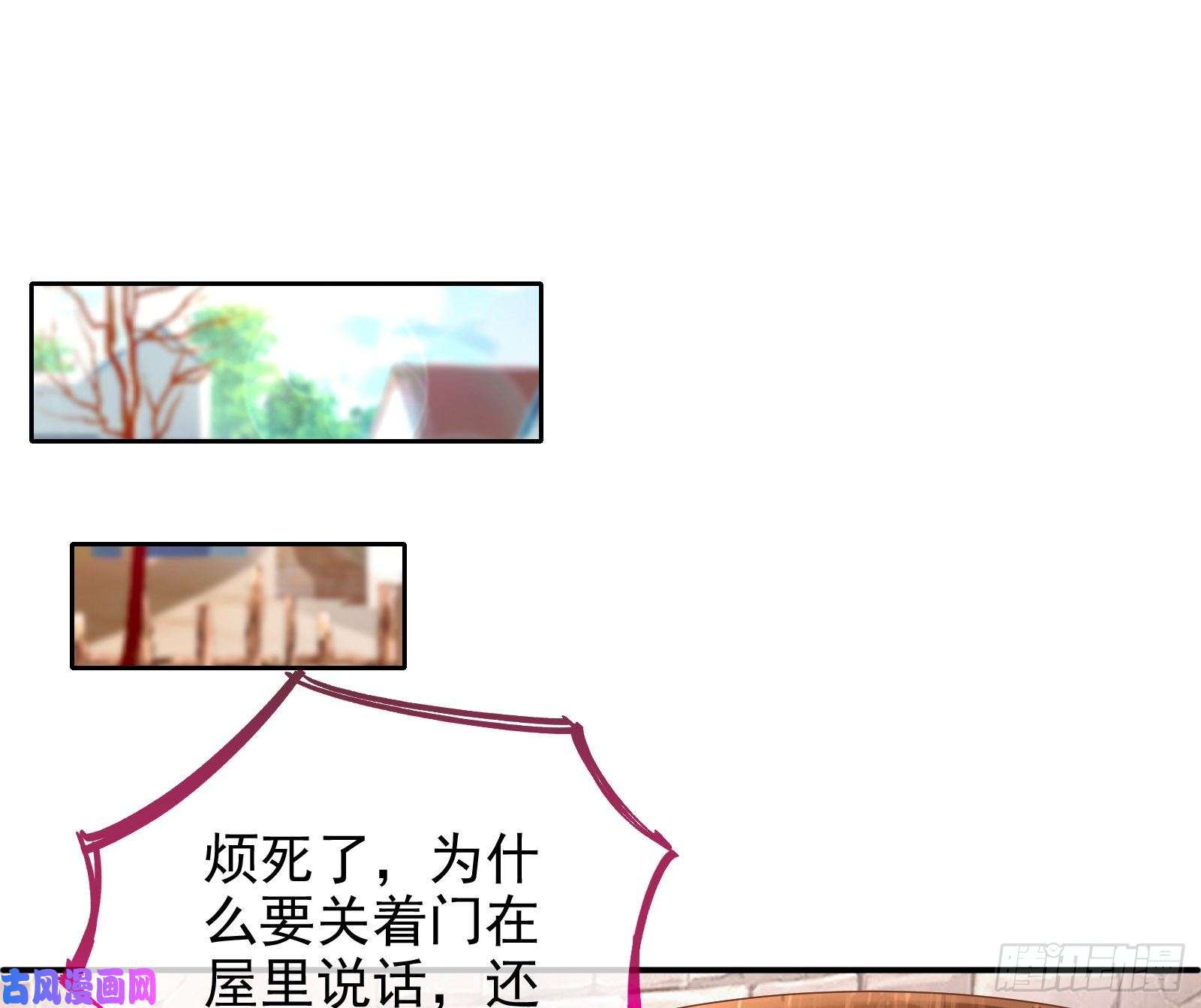 万渣朝凰抱错