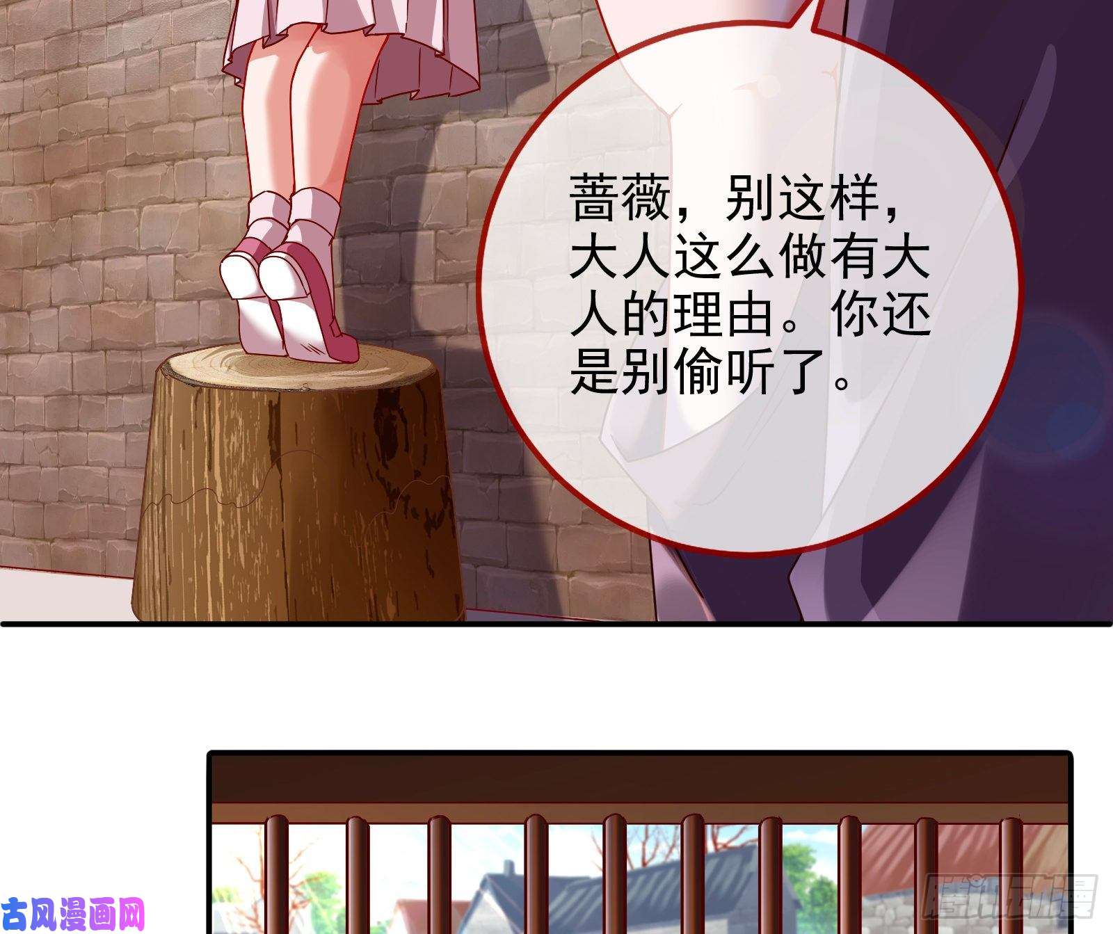 万渣朝凰抱错