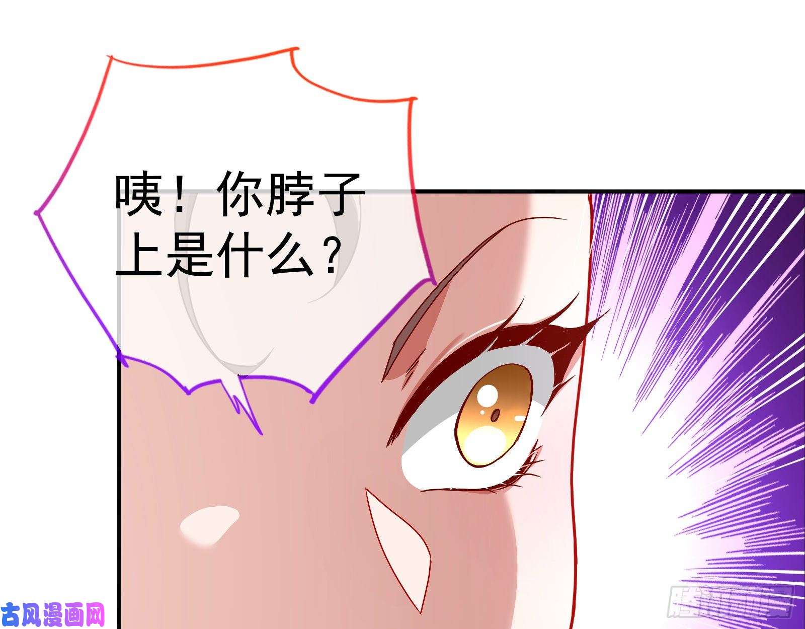 万渣朝凰抱错