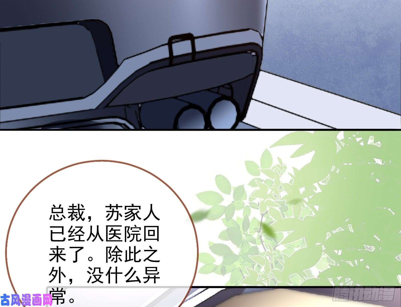 万渣朝凰言灵