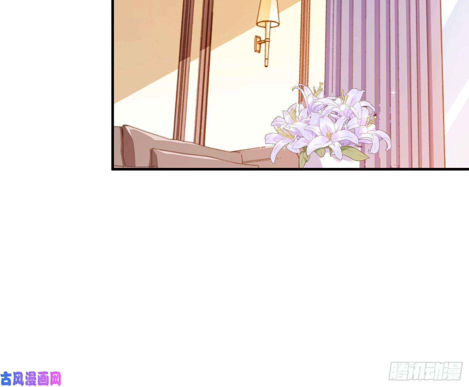 万渣朝凰合作