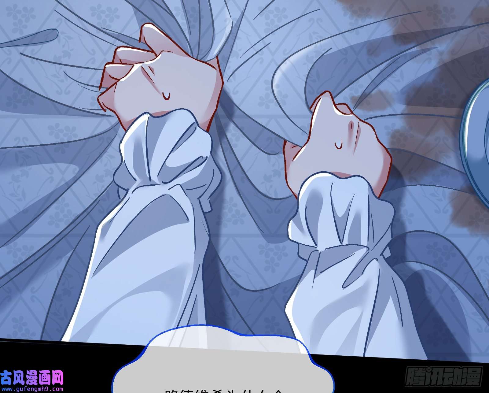万渣朝凰驯兽大师
