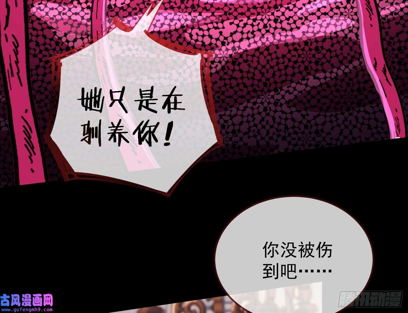 万渣朝凰爱的愚者
