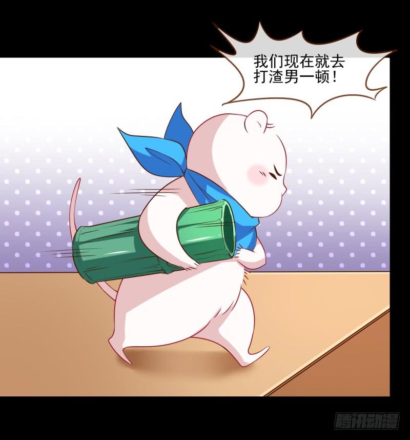 万渣朝凰杀鸡取卵