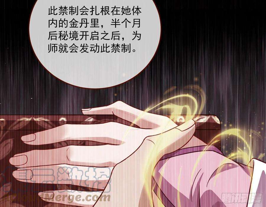万渣朝凰奸细