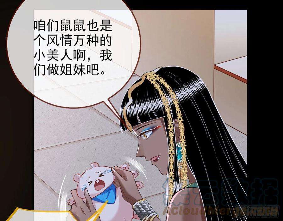 万渣朝凰那么普通却那么自信