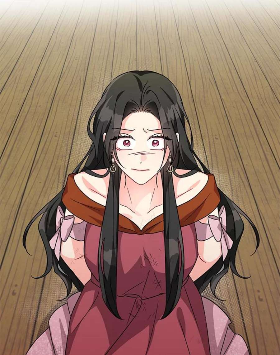 我被反派求婚了11.原来是太妃