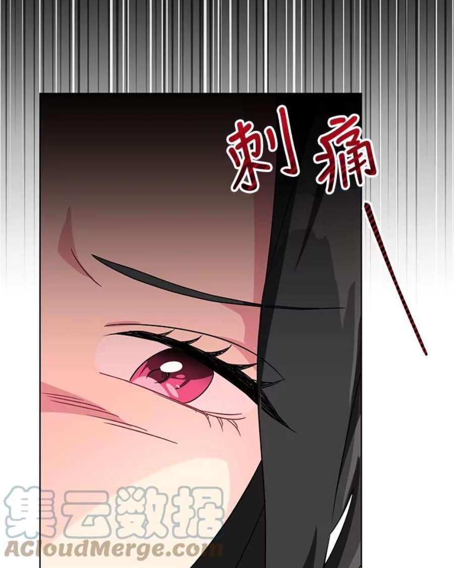 我被反派求婚了11.原来是太妃