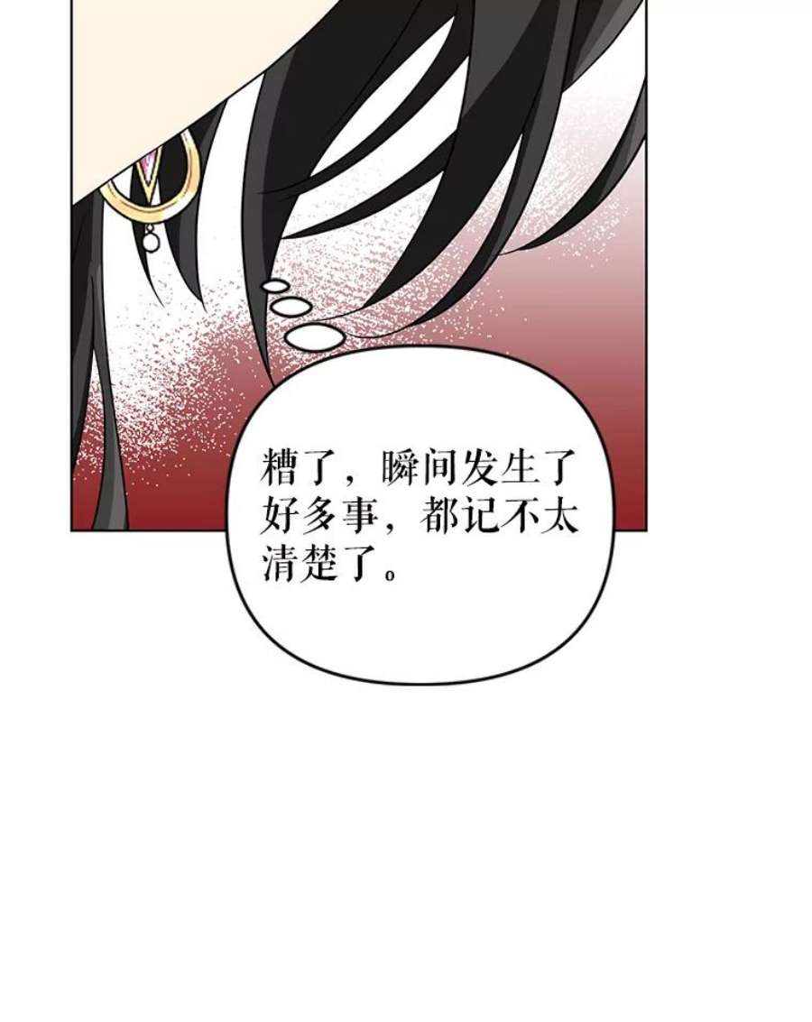 我被反派求婚了11.原来是太妃