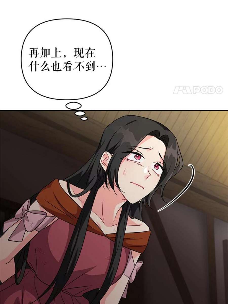 我被反派求婚了11.原来是太妃