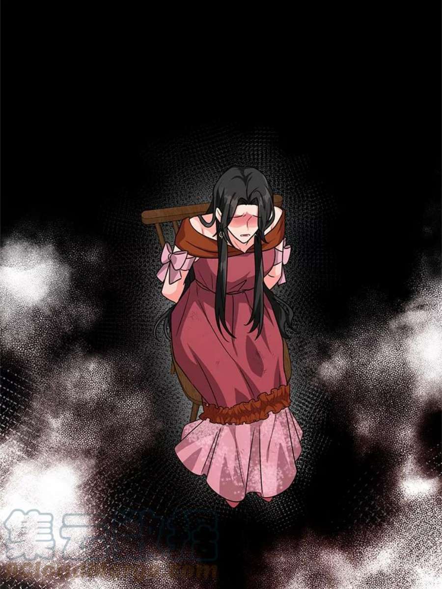 我被反派求婚了11.原来是太妃