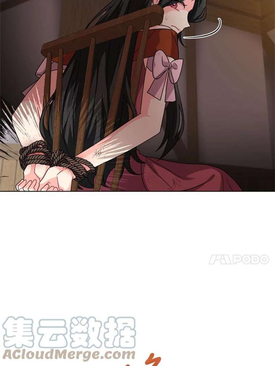 我被反派求婚了11.原来是太妃