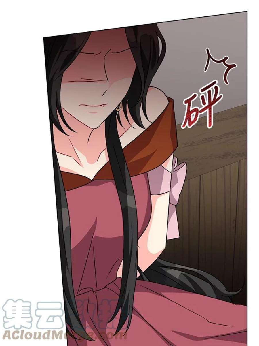 我被反派求婚了11.原来是太妃