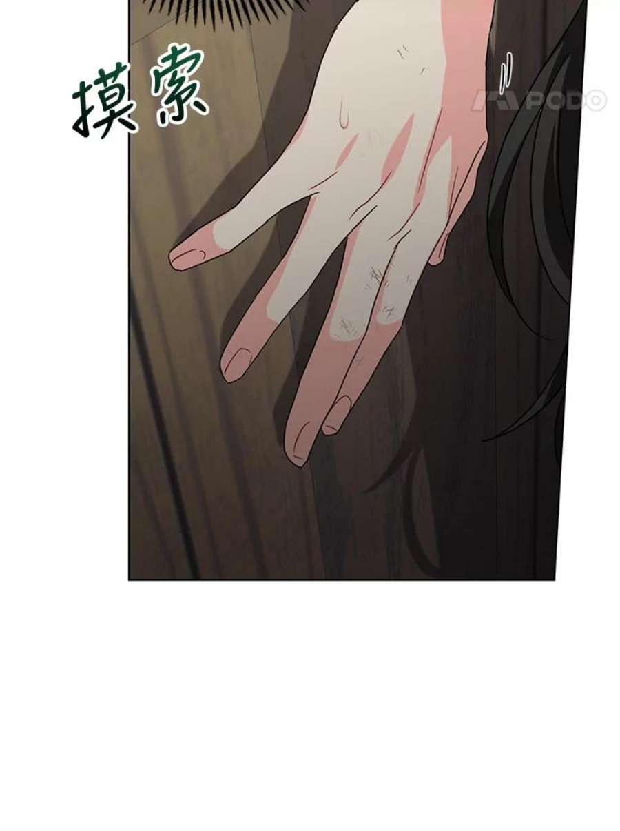 我被反派求婚了11.原来是太妃