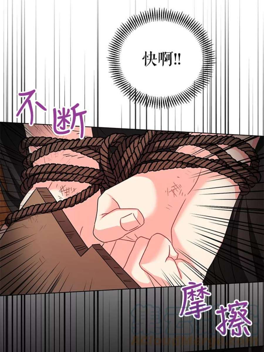 我被反派求婚了11.原来是太妃