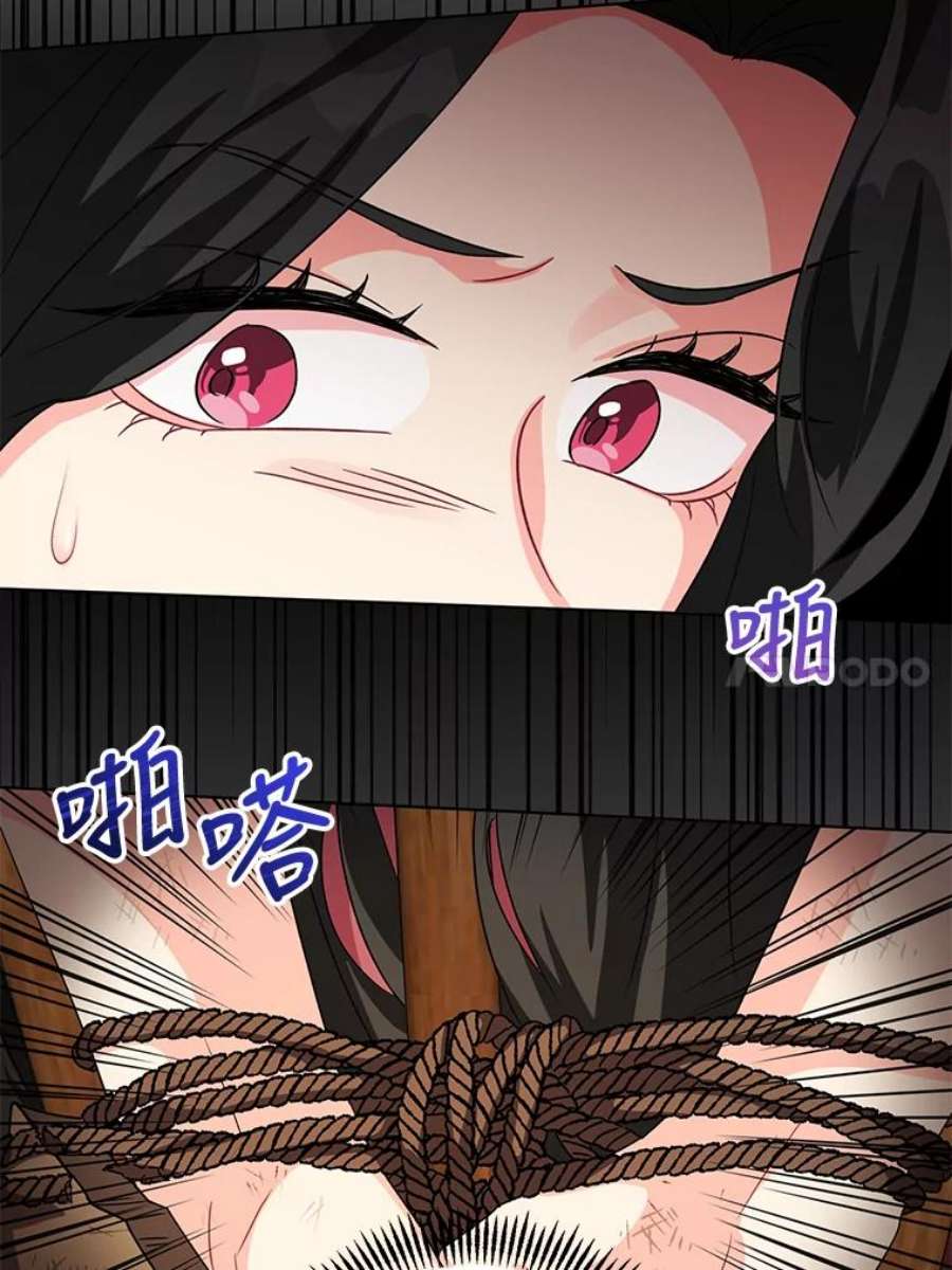 我被反派求婚了11.原来是太妃