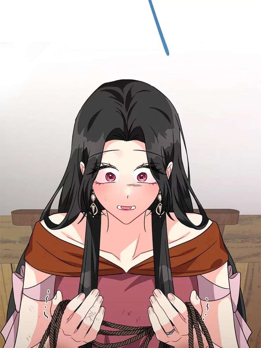 我被反派求婚了11.原来是太妃