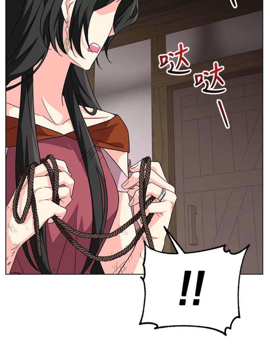 我被反派求婚了11.原来是太妃