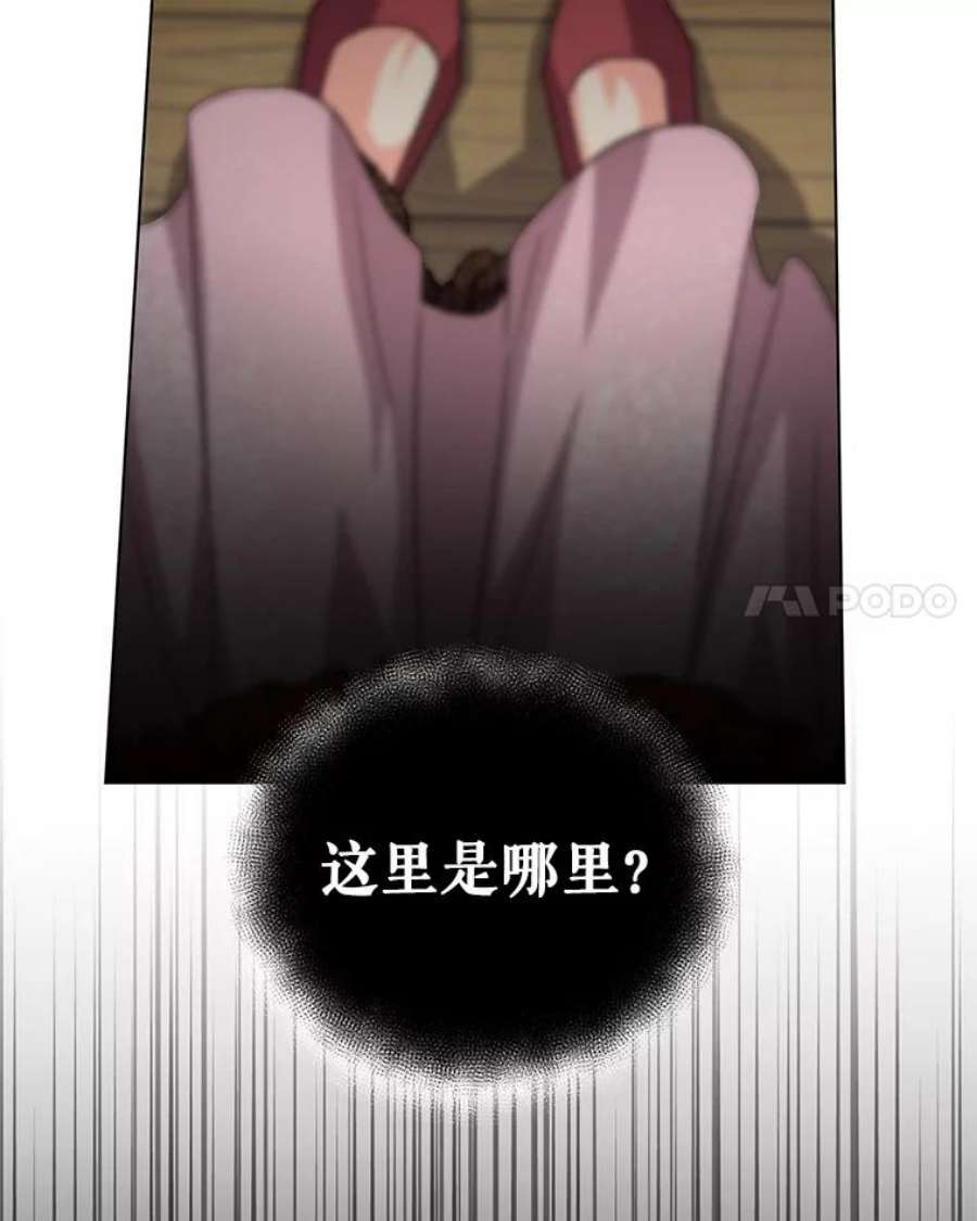 我被反派求婚了11.原来是太妃