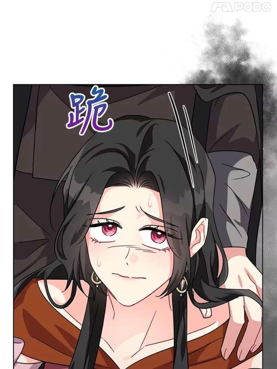 我被反派求婚了11.原来是太妃