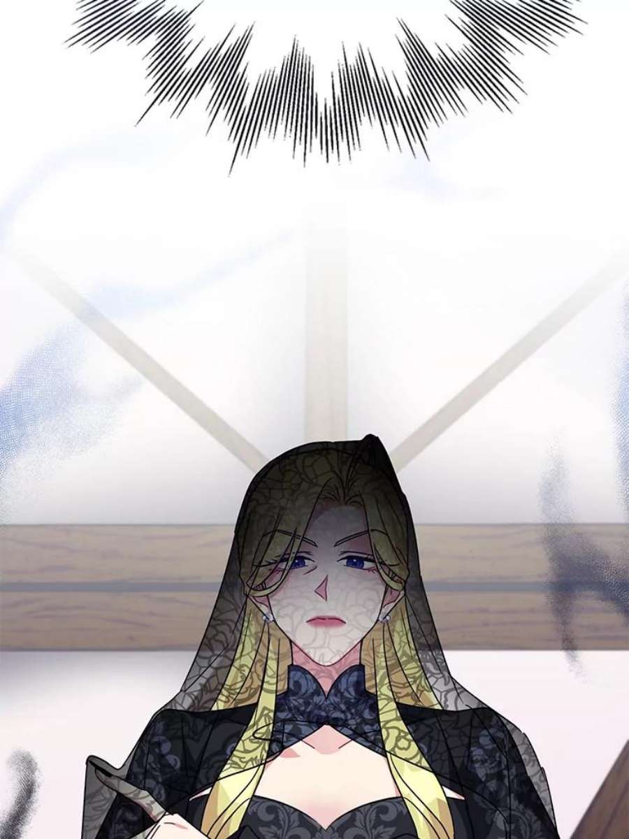 我被反派求婚了11.原来是太妃