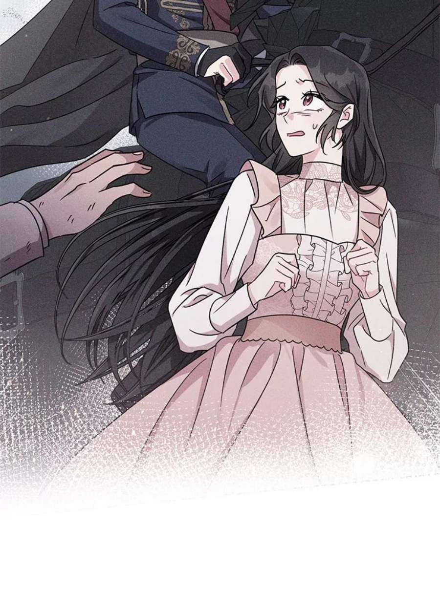 我被反派求婚了11.原来是太妃