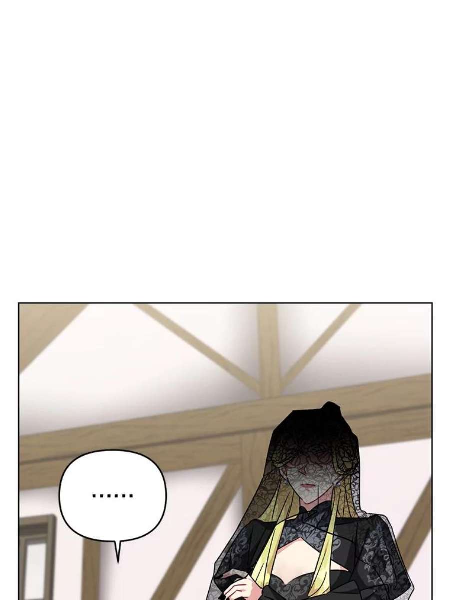 我被反派求婚了11.原来是太妃