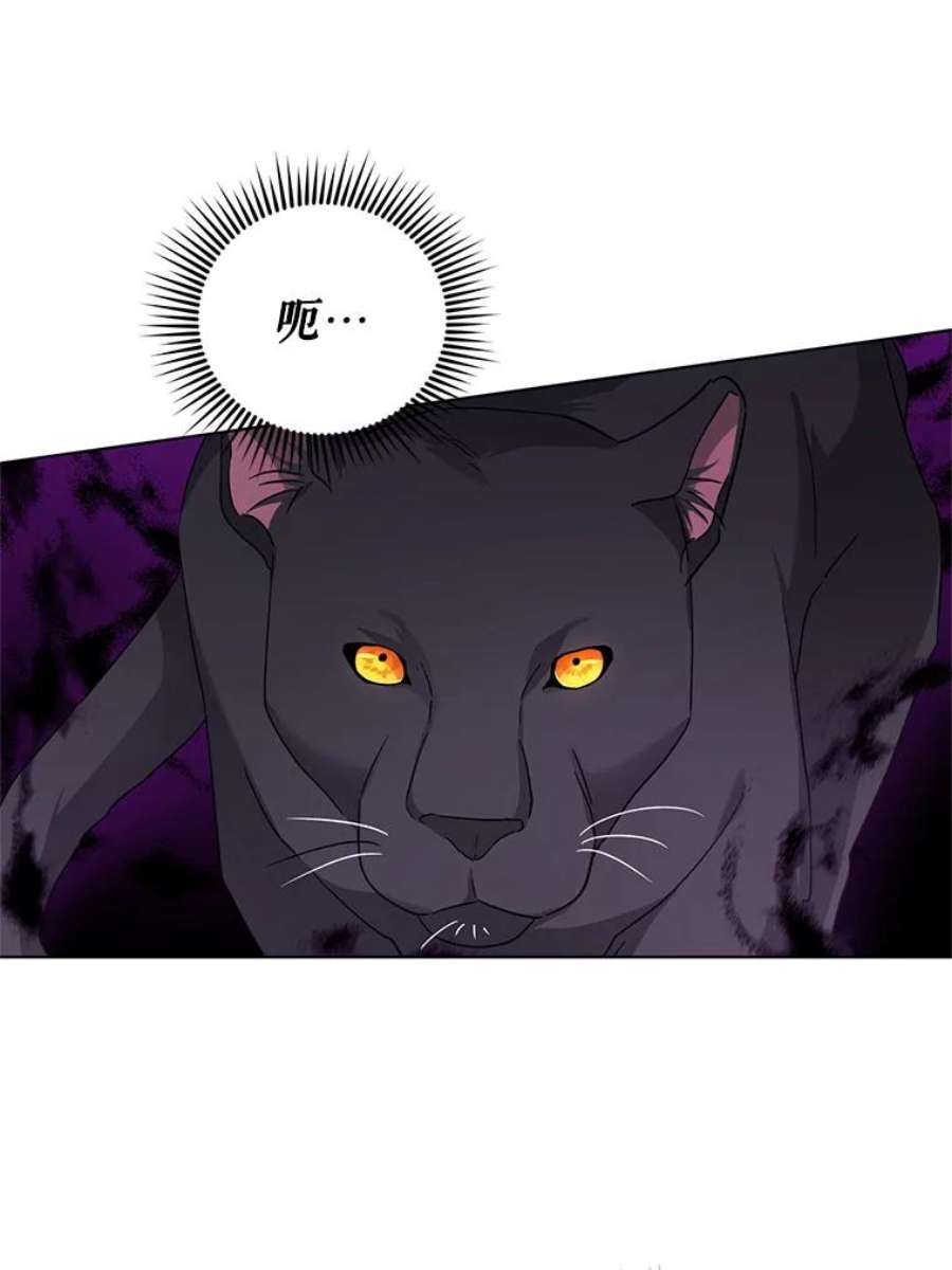 我被反派求婚了30.主动去找阿尔森