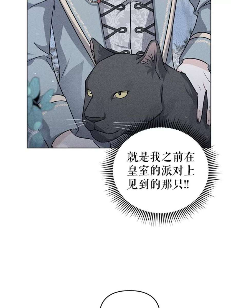 我被反派求婚了30.主动去找阿尔森