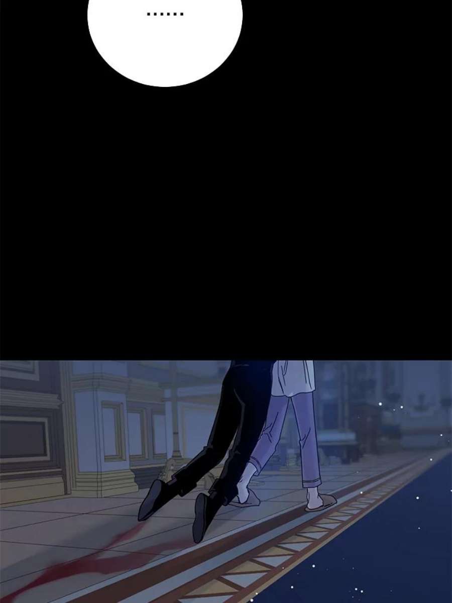 驯服君主后逃跑5.深夜的暗杀