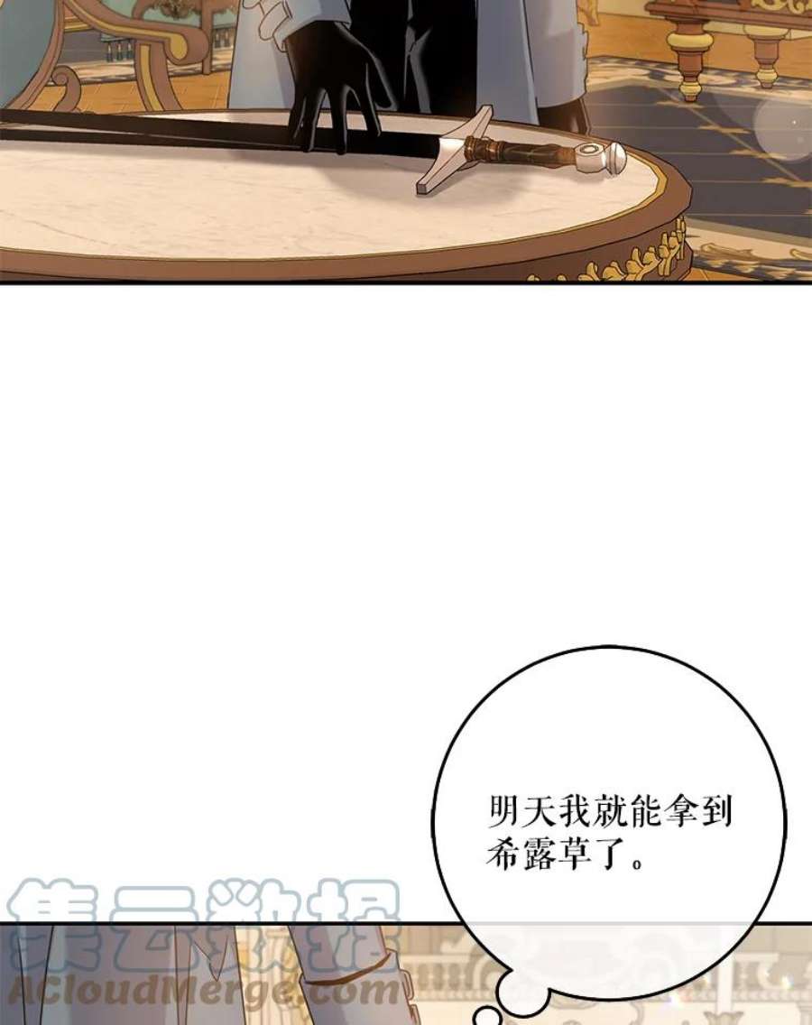 驯服君主后逃跑20.庆典上的偶遇