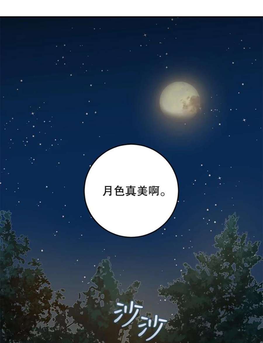 驯服君主后逃跑31.舞会（2）