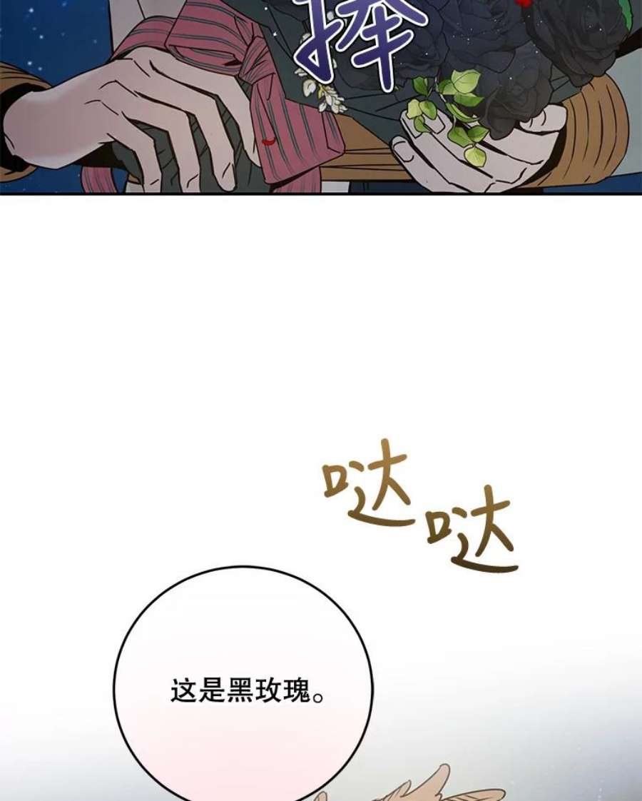 驯服君主后逃跑32.黑玫瑰