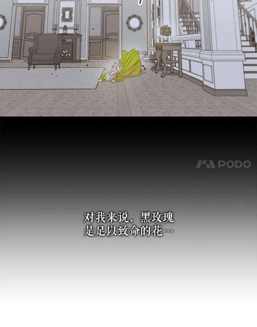 驯服君主后逃跑32.黑玫瑰