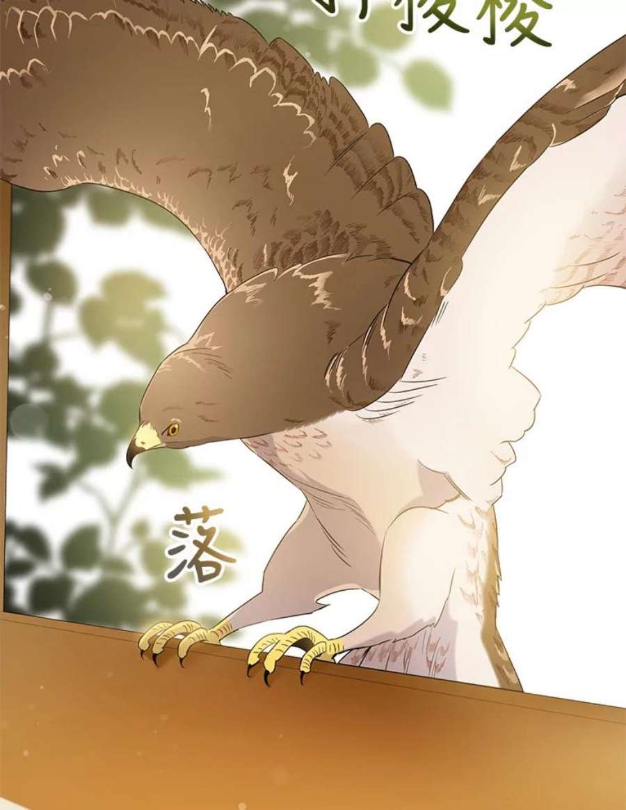 驯服君主后逃跑45.卡胡的邀请