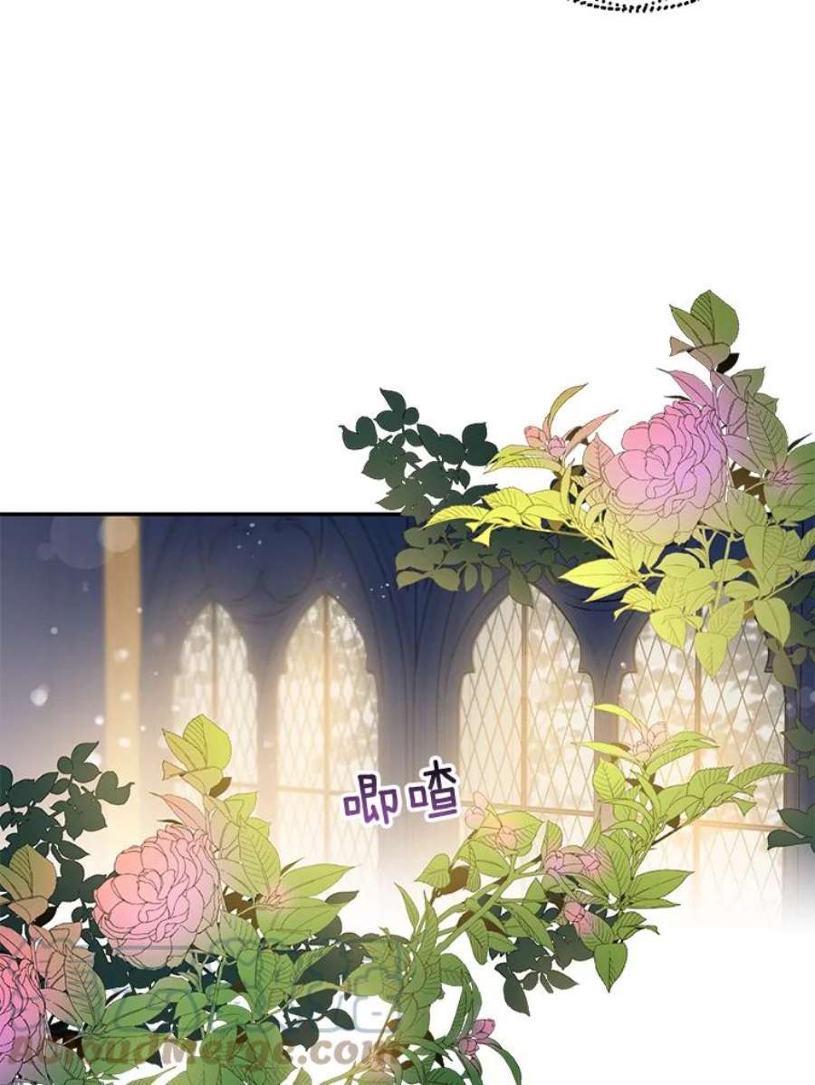 驯服君主后逃跑51.设立孤儿院