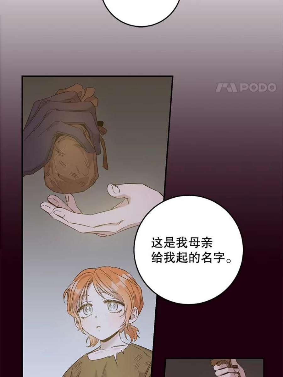 驯服君主后逃跑51.设立孤儿院