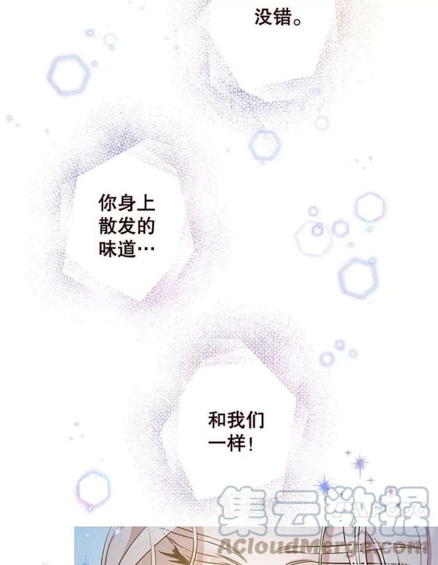 驯服君主后逃跑53.精灵的秘密