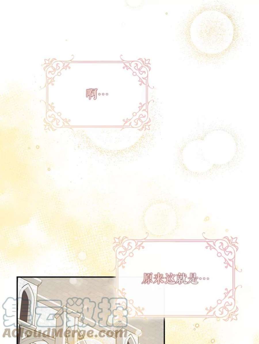 驯服君主后逃跑停更通知