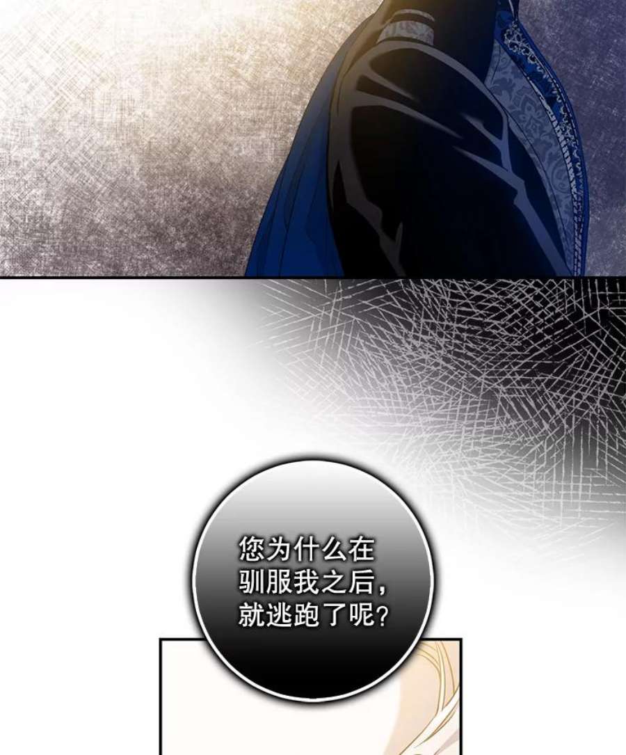 驯服君主后逃跑70.陌生的迪伦