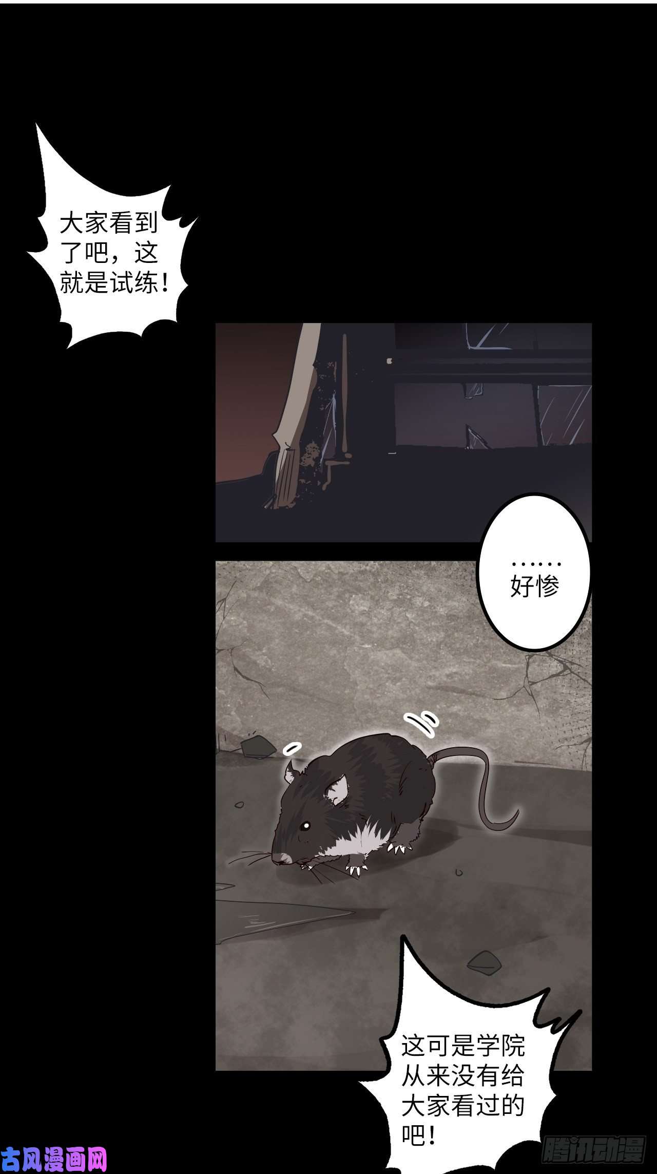 废材联盟8.试炼准备