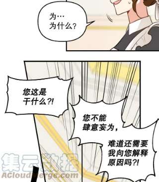 请抛弃我2.重生