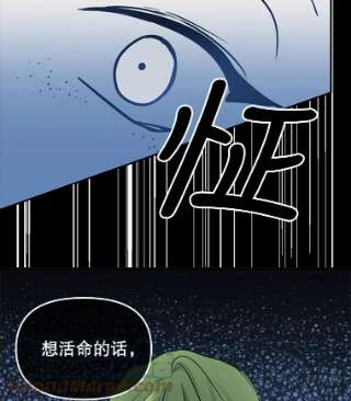 请抛弃我2.重生
