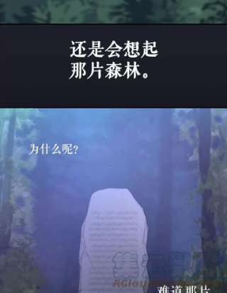 请抛弃我8.森林的召唤